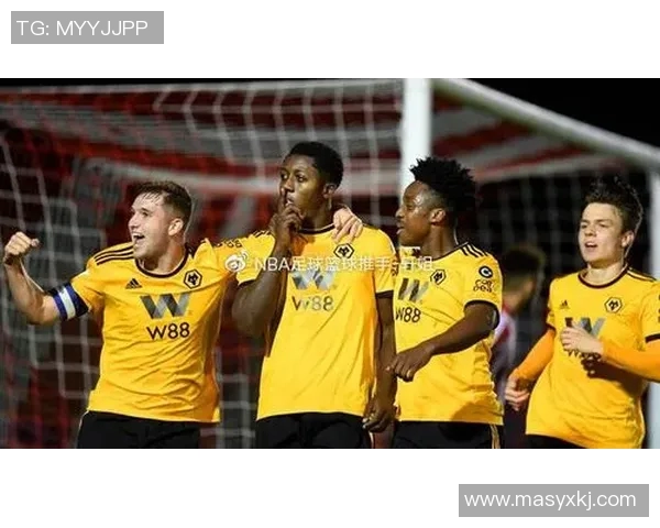 英超羽毛球热点分析北京羽毛球队转型之路与未来发展方向