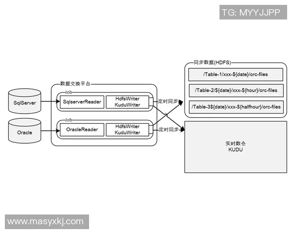运动数据排球装备选购指南必备护具推荐与使用技巧分享 运动数据排球装备选购指南必备护具推荐与使用技巧分享